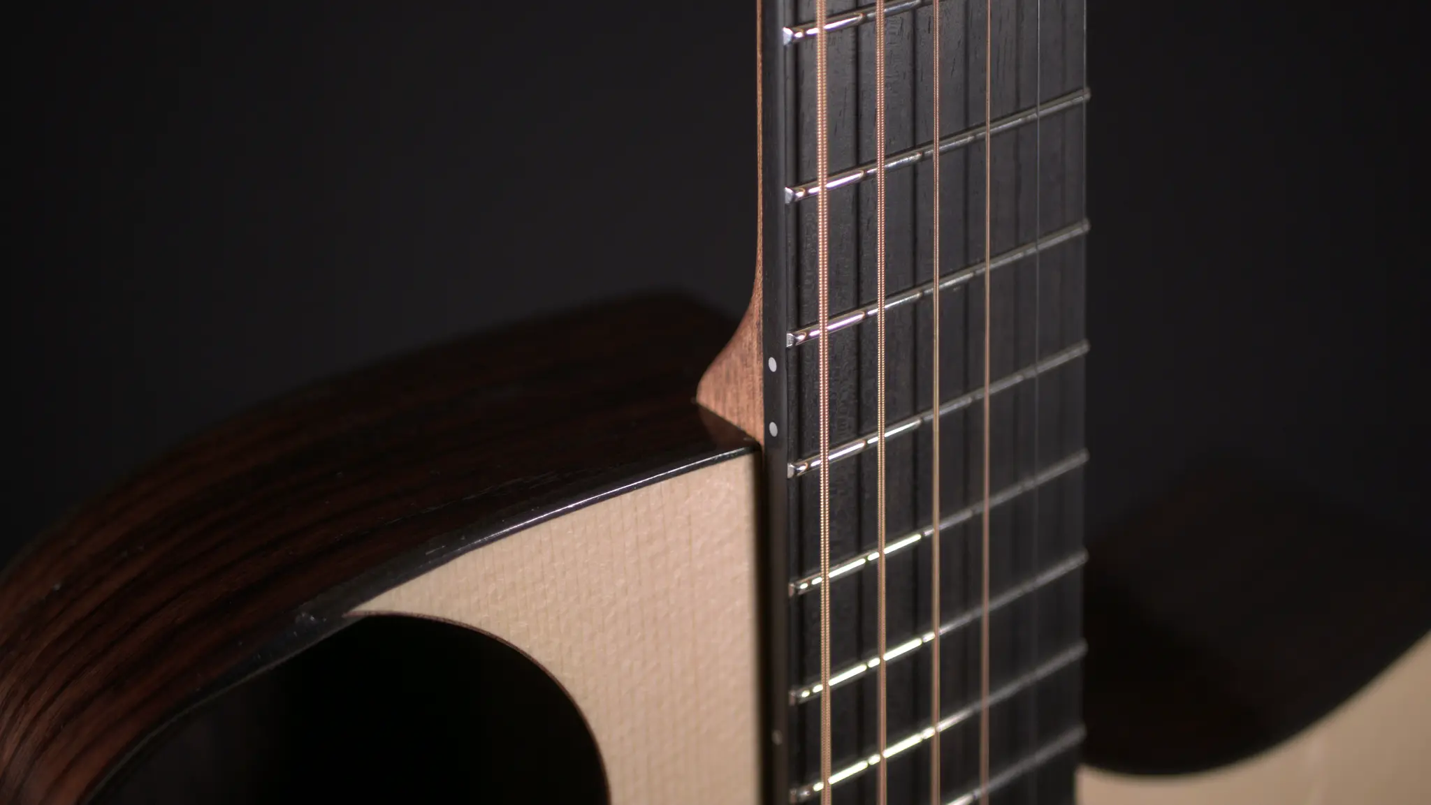 Rausch Guitars Acoustic Two