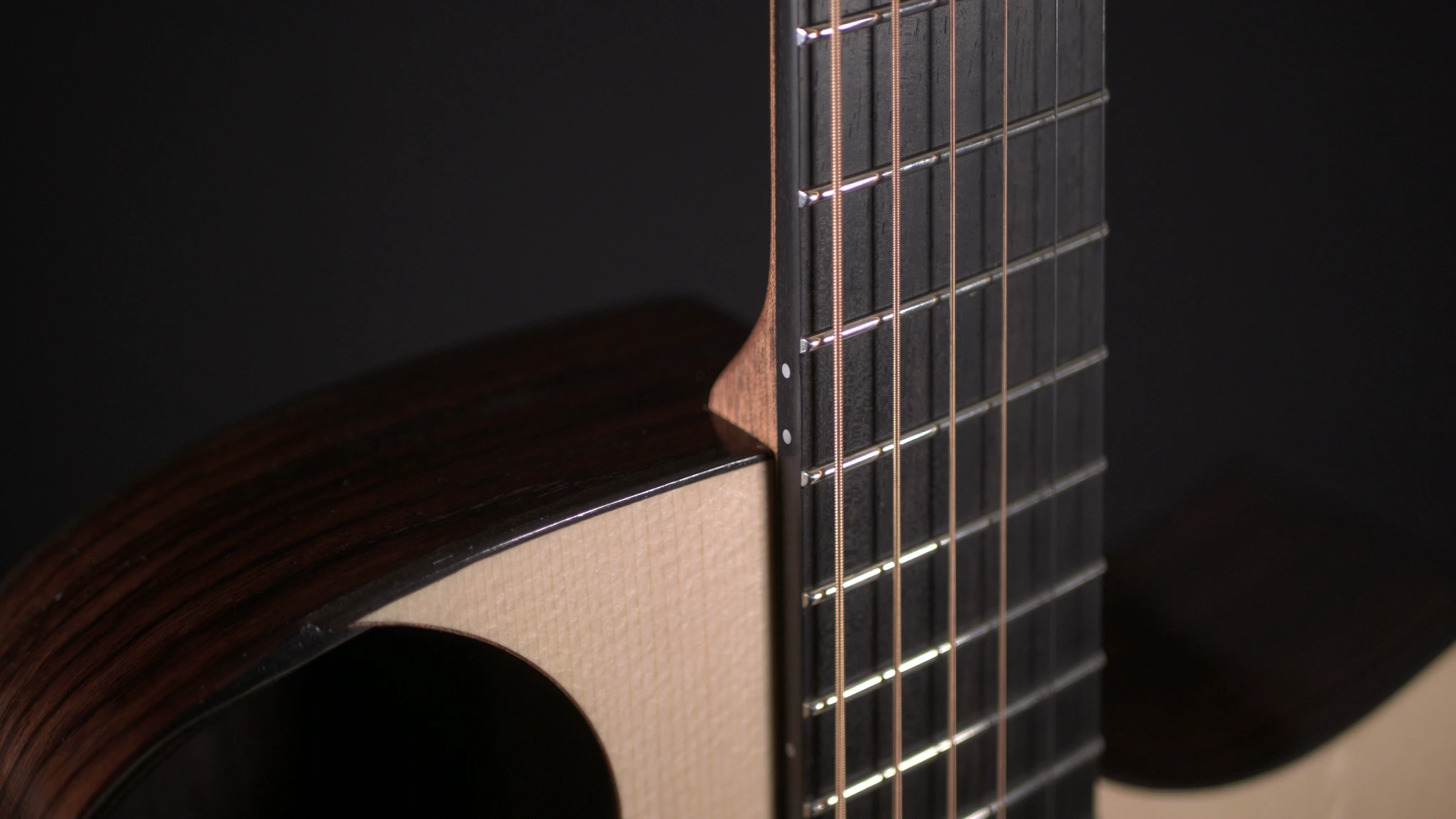 Rausch Guitars The Prologue
