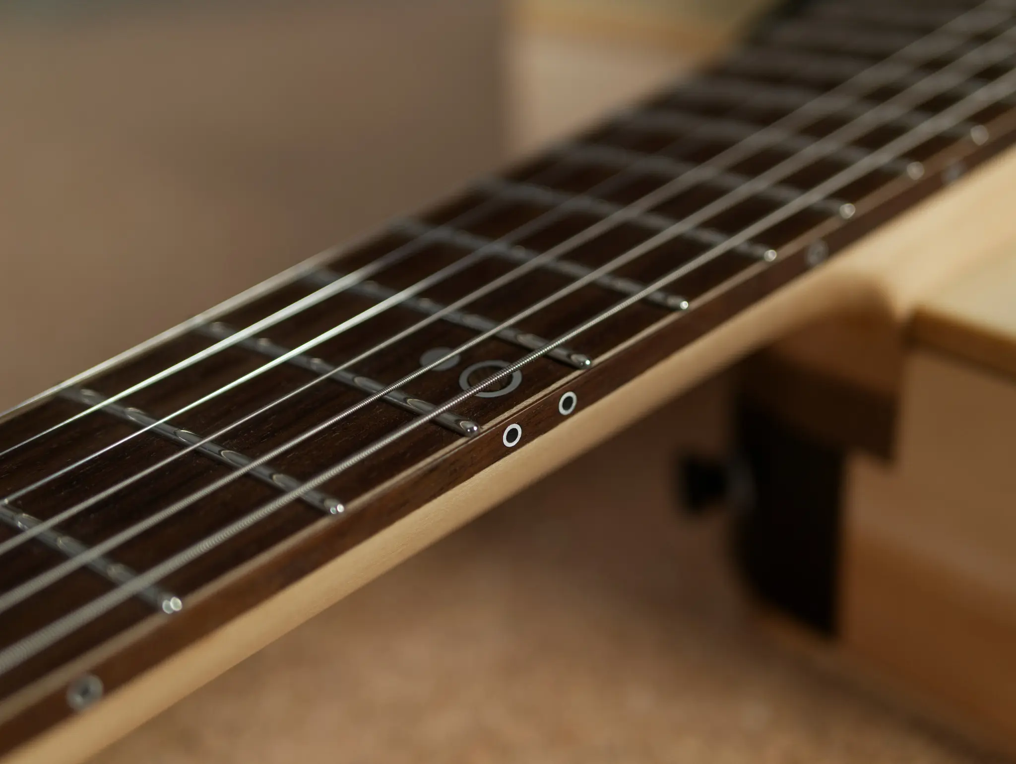 Rausch Guitars fretboard detail