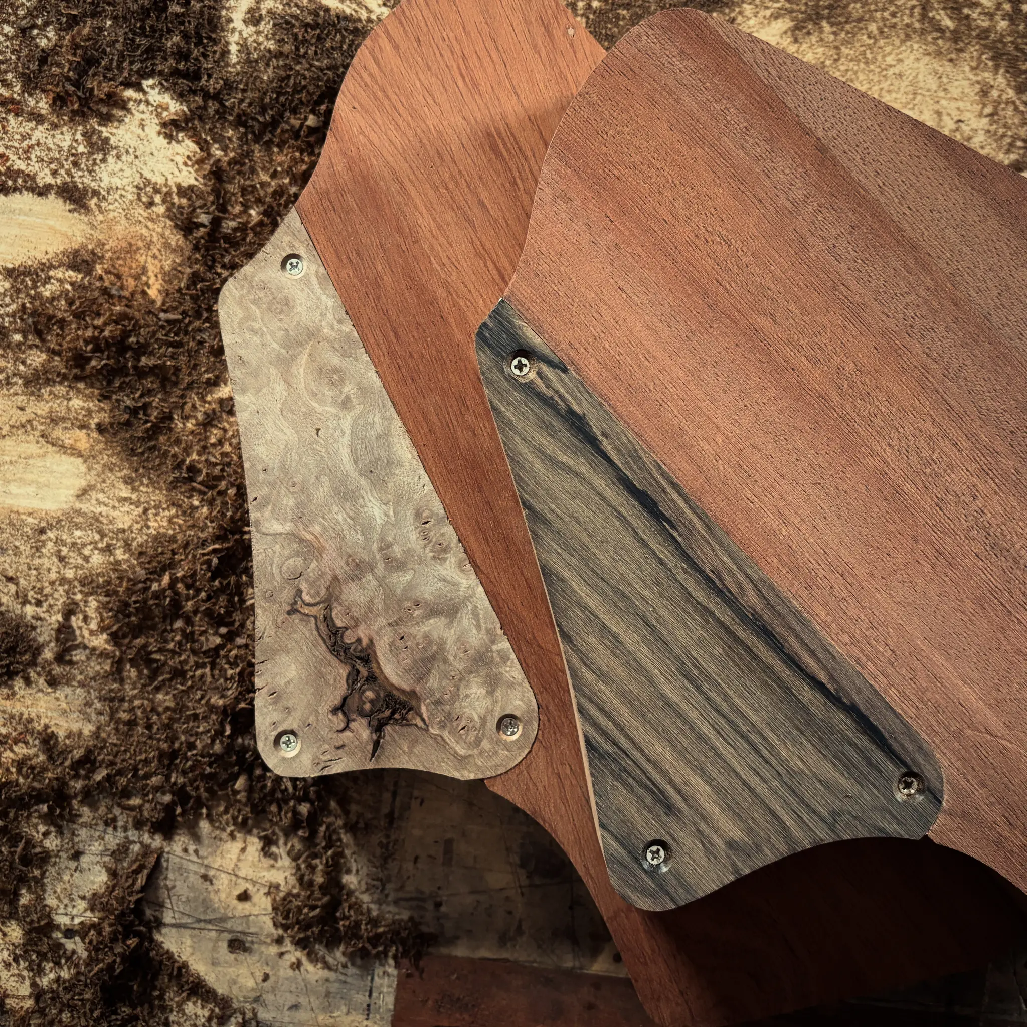 Custom guitar backplates